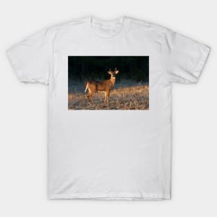 Golden Hour Buck - White-tailed Buck T-Shirt